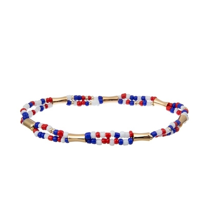 Van het Zaadparels van de onafhankelijkheidsdag Met de hand gemaakte de Armband Vastgestelde Elastische Kleurrijk
